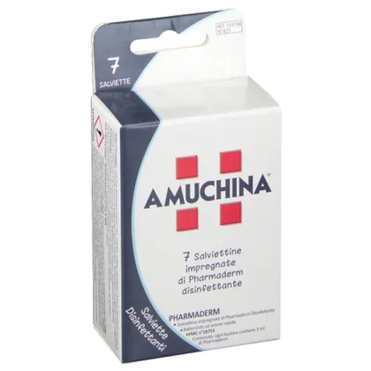 Amuchina Angelini 7 Disposable Wipes