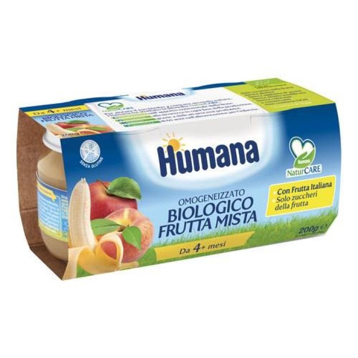 Organic Mixed Fruit Humana 2x100g