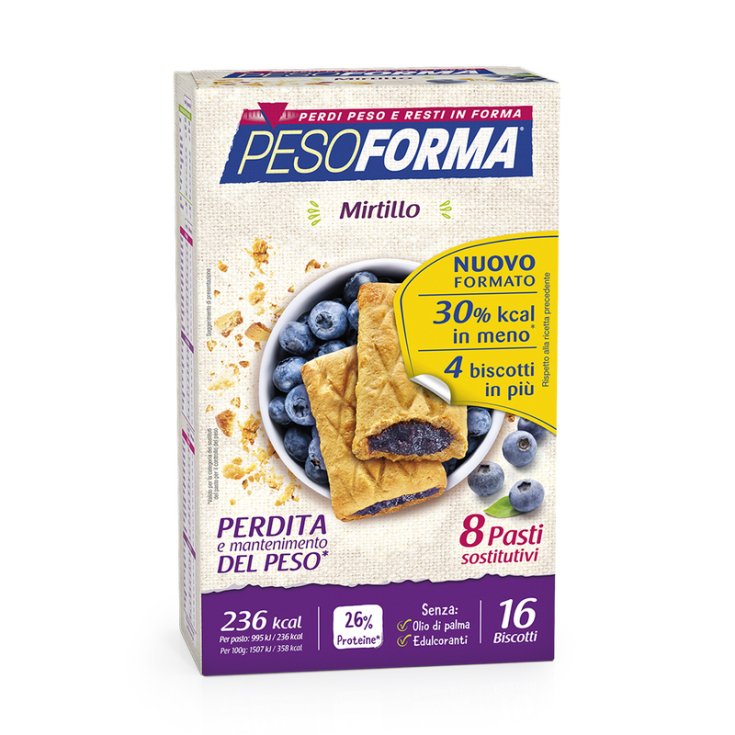 Blueberry Biscuits Pesoforma 16 Pieces