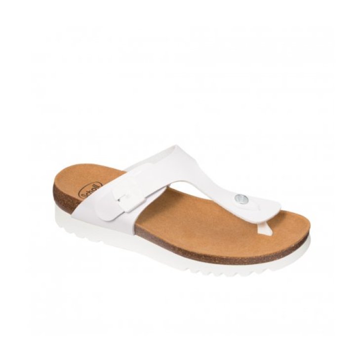 Boa Vista Up Sholl's 1 Pair