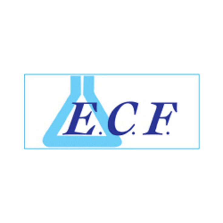 ECF Ecofil Shower Shampoo 200ml