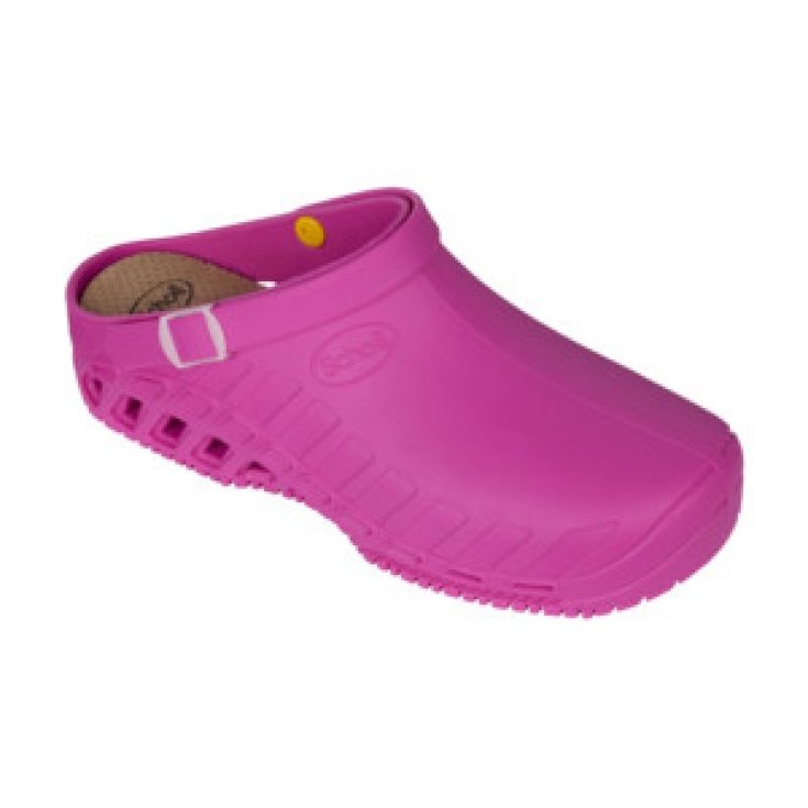 Clog Evo Unisex Scholl Fuchsia Size 40-41