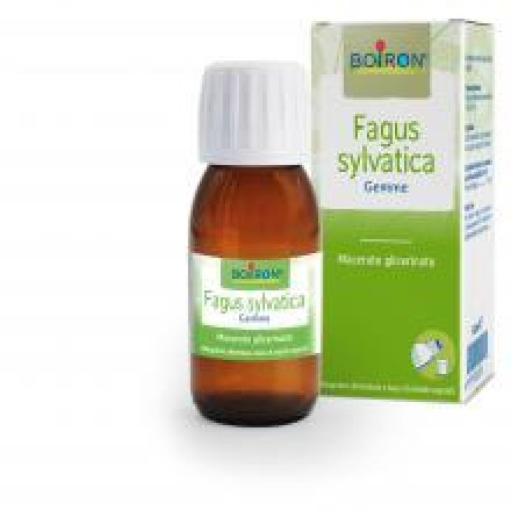 Fagus Sylvatica Boiron 60ml