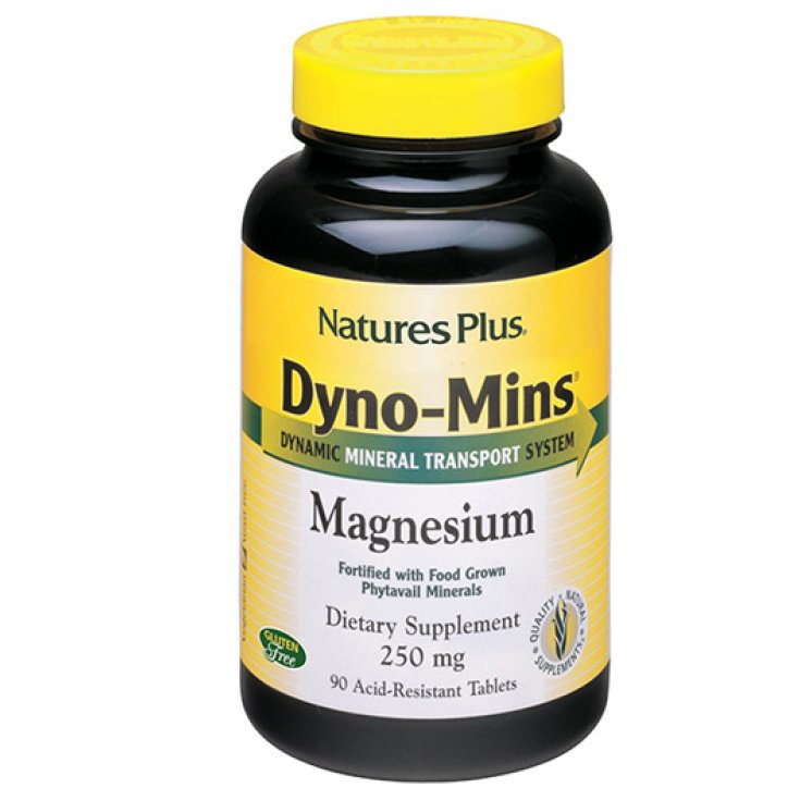 Dyno Mins Magnesium 90tav