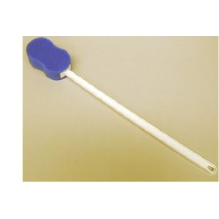 Sponge W / Long handle