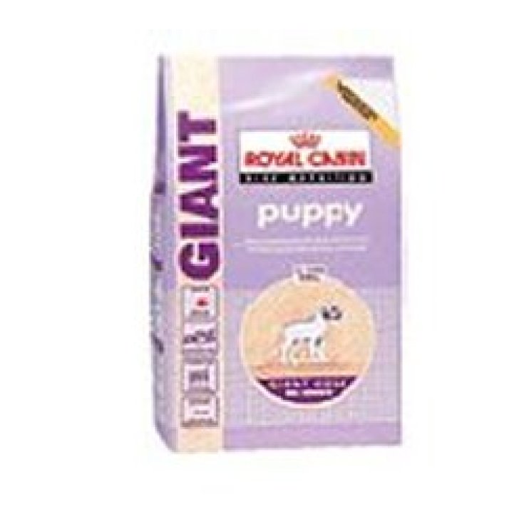 SHN GIANT PUPPY 15KG
