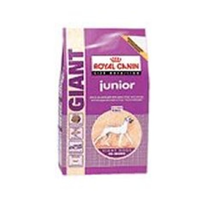 SHN GIANT JUNIOR 15KG