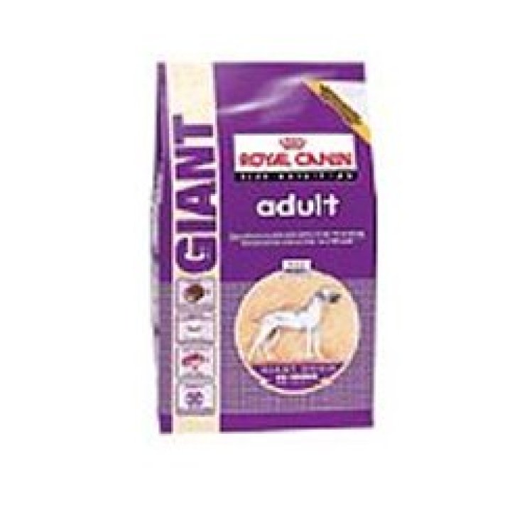 SHN GIANT ADULT 15KG