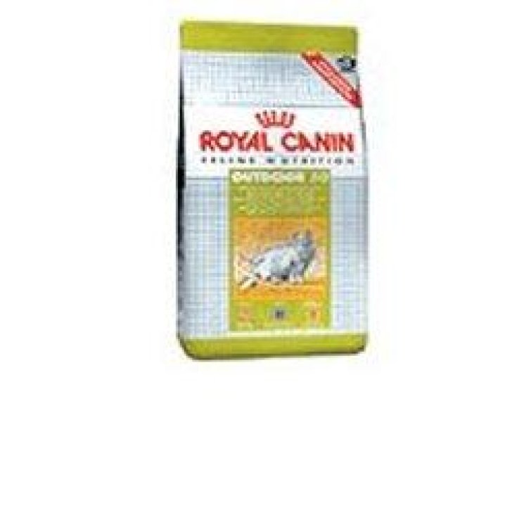 Royal canin hotsell active life outdoor