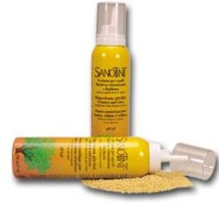 Sanotint Fixative Foam