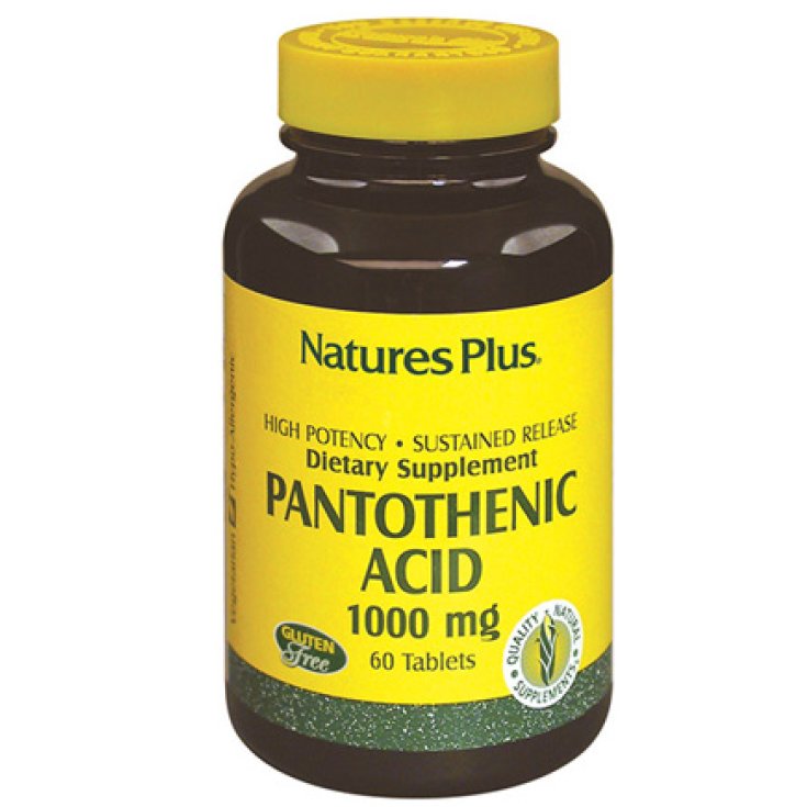 Pantothenic Acid 1000 Mg