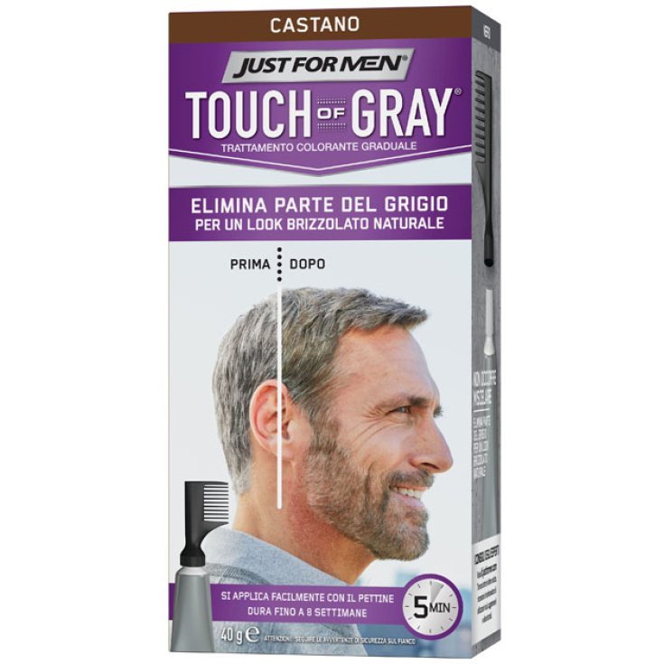 JUST FOR MEN TOUCH OF GRAY BROWN
