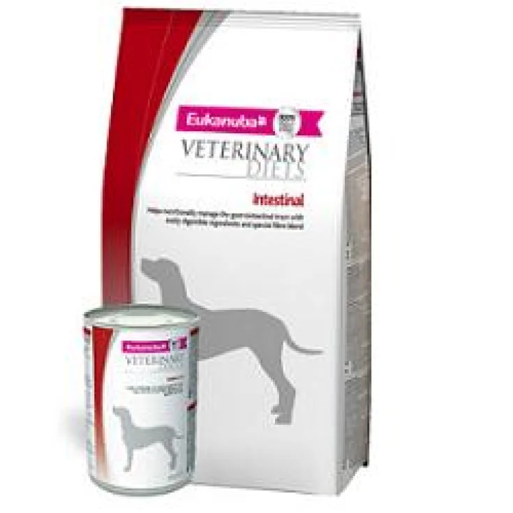 Evd Dog Intestinal 1kg