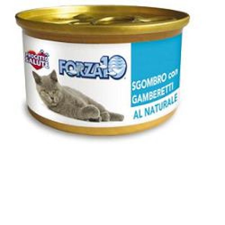 FORZA10 CAT NEWNAT SGOM/GAM75G