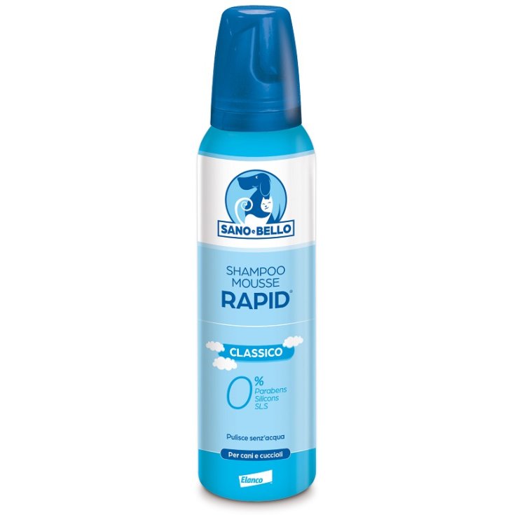 Rapid Shampoo Foam Sec Clas