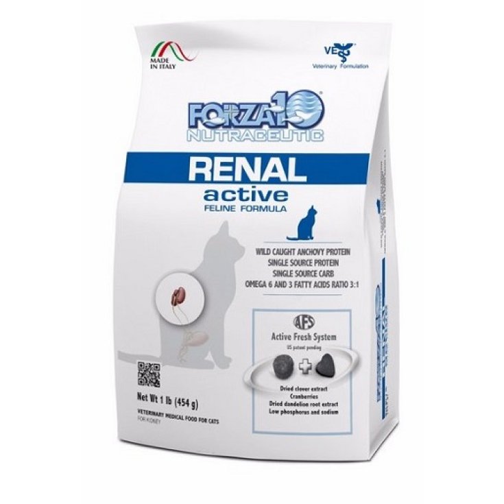 RENAL ACTIVE CAT 454G