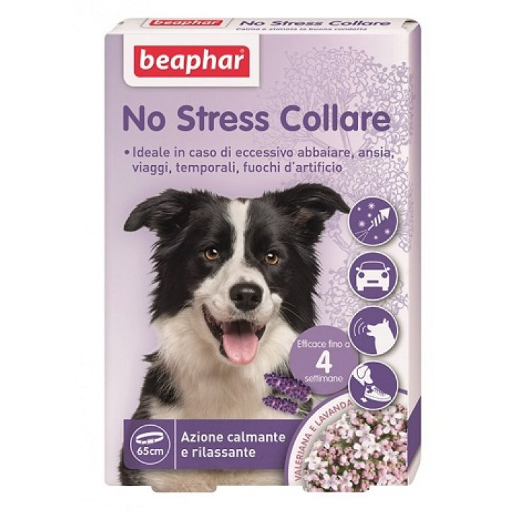 No store stress collar