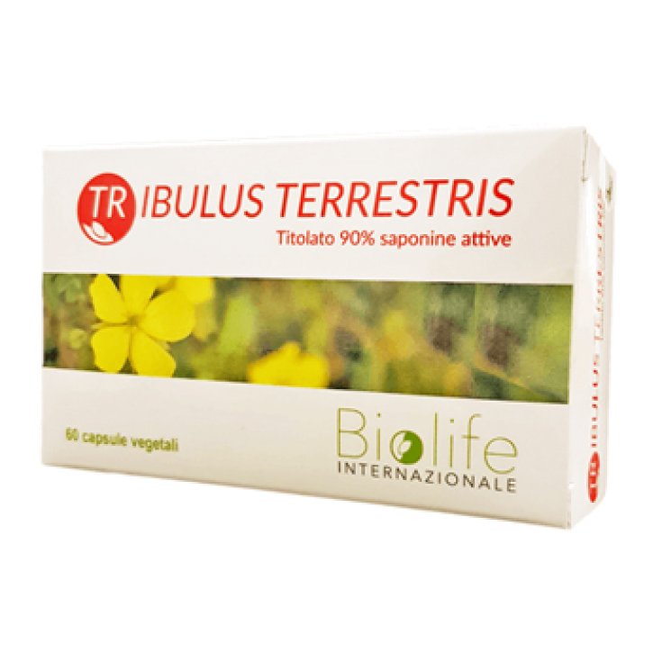 Tribulus Terrestris Food Supplement 60 Tablets