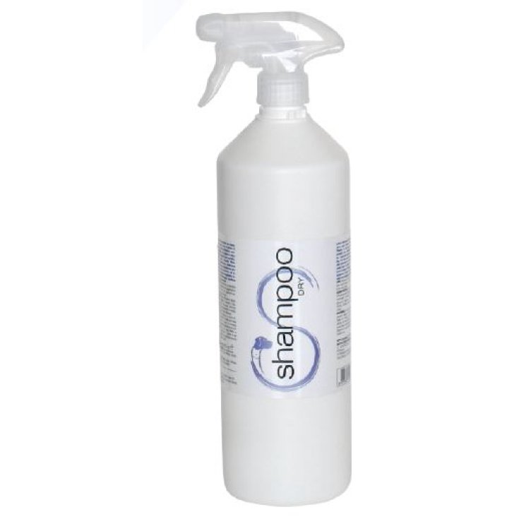 SHAMPOO DRY 1000ML