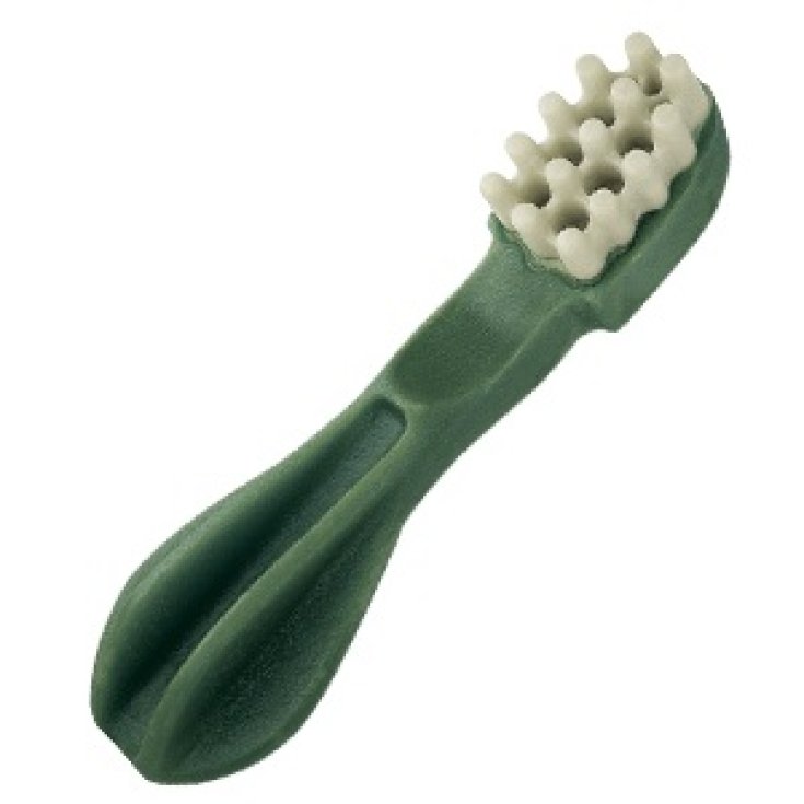 WHIMZEES BUST TOOTHBRUSH XS48P