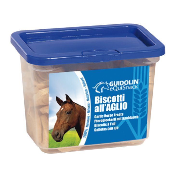 EQUISNACK GARLIC BISCUITS 700G