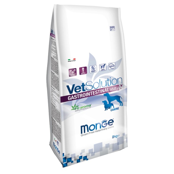 MONGE VETSOL CAN INTESTIN 2KG