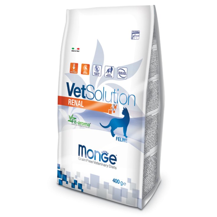 MONGE VETSOL FEL RENAL 400G