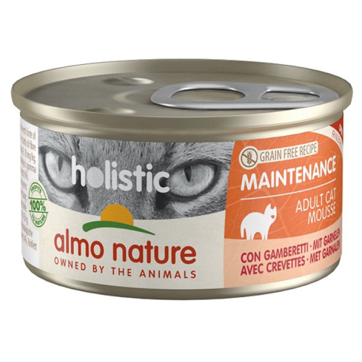 HOLISTIC MAINTENANCE GAMBER85G