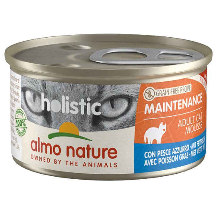 HOLISTIC MAINTENANCE FISH 85G