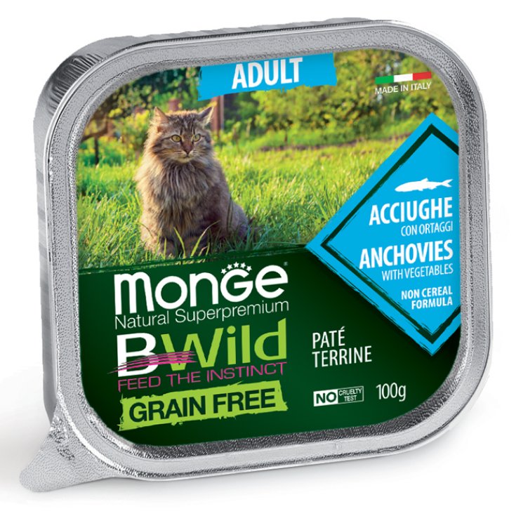 MONGE BWILD CAT WITH ANCHOVIES