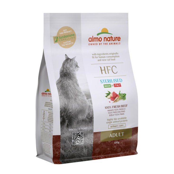 HFC CAT DRY AD ST BEEF 300G