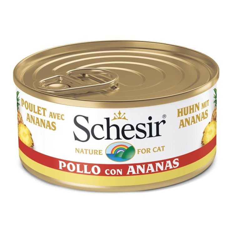 SCHESIR ANAN CHICKEN FILLETS 75G