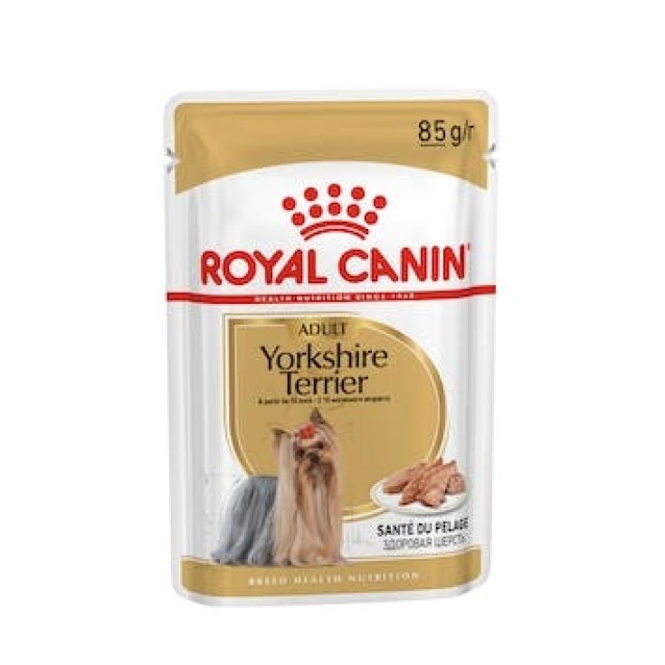 BHN WET YORKSHIRE TERRIER 85G