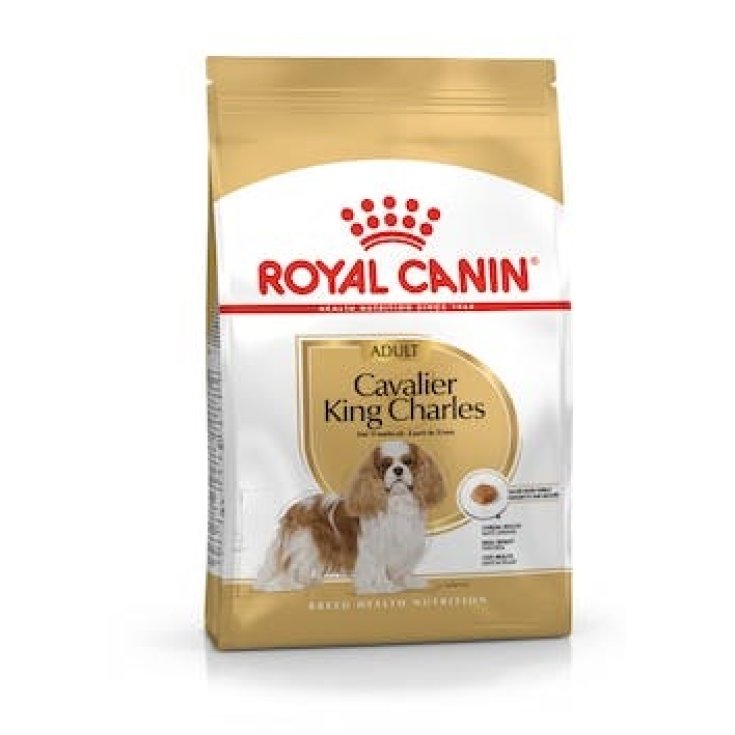 BHN CAVALIER KING CHAR AD1,5KG