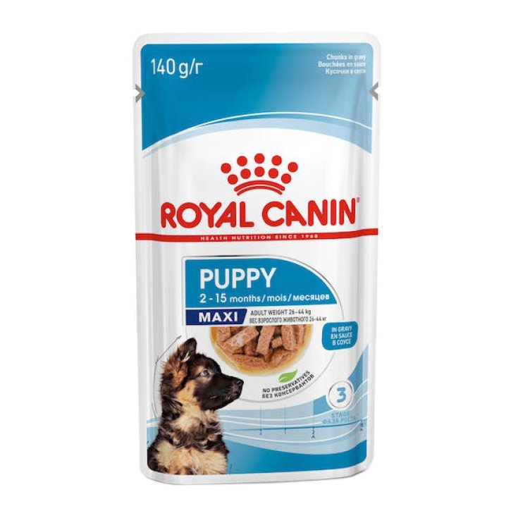 Royal canin 2025 shn maxi puppy