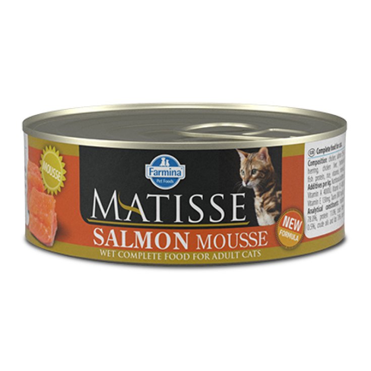 MATISSE CAT MOUSSE SALMON 300G