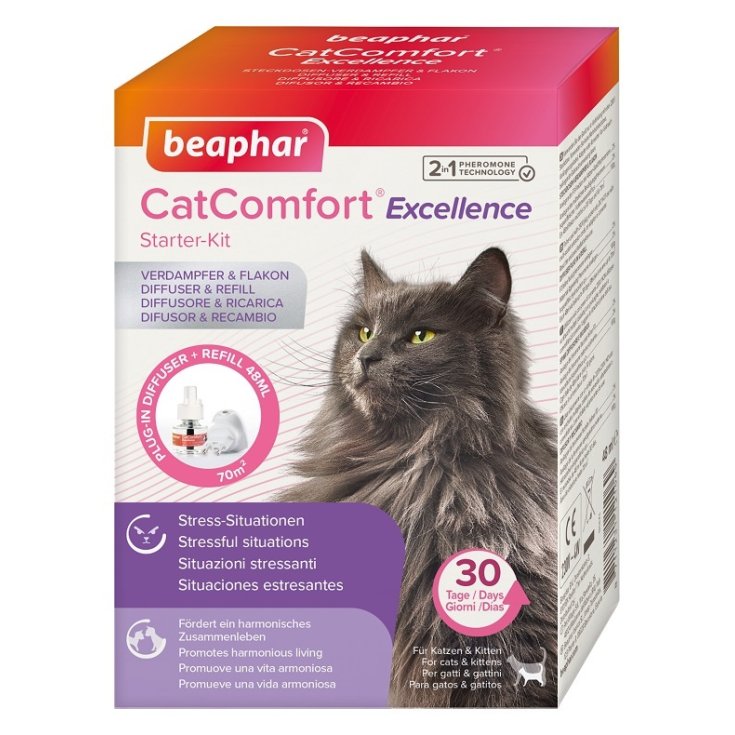 CAT COMFORT EXCELLENCE STARTER