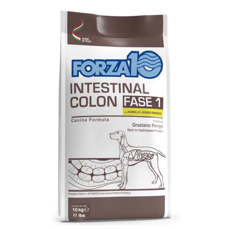 FORZA10 INTESTINAL COLON AGN/S