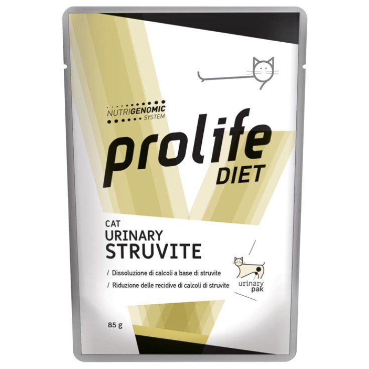 Urinary struvite best sale cat food