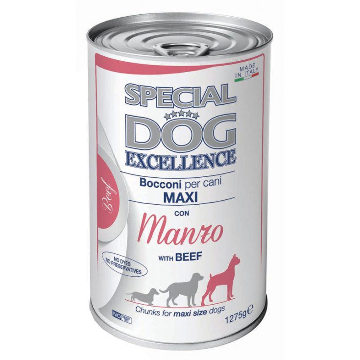 SPECIAL DOG ​​EXC MX AD BOCC MA