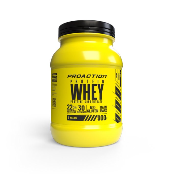 PROACTION FIT WHEY PROTEIN MEL