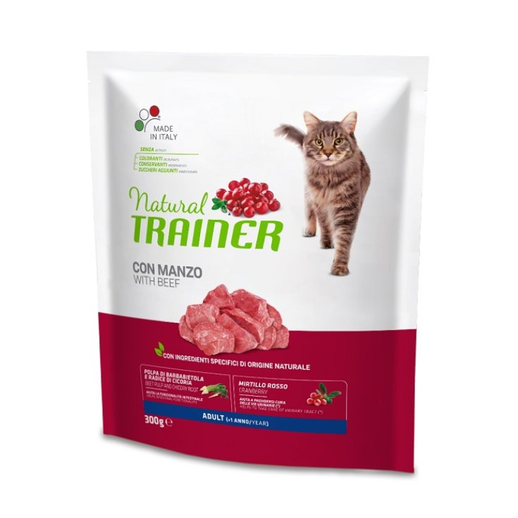 BETWEEN CAT N AD BEEF 300G