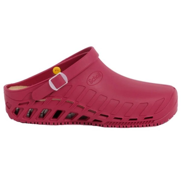 CLOG EVO TPR UNISEX WINE 36/37