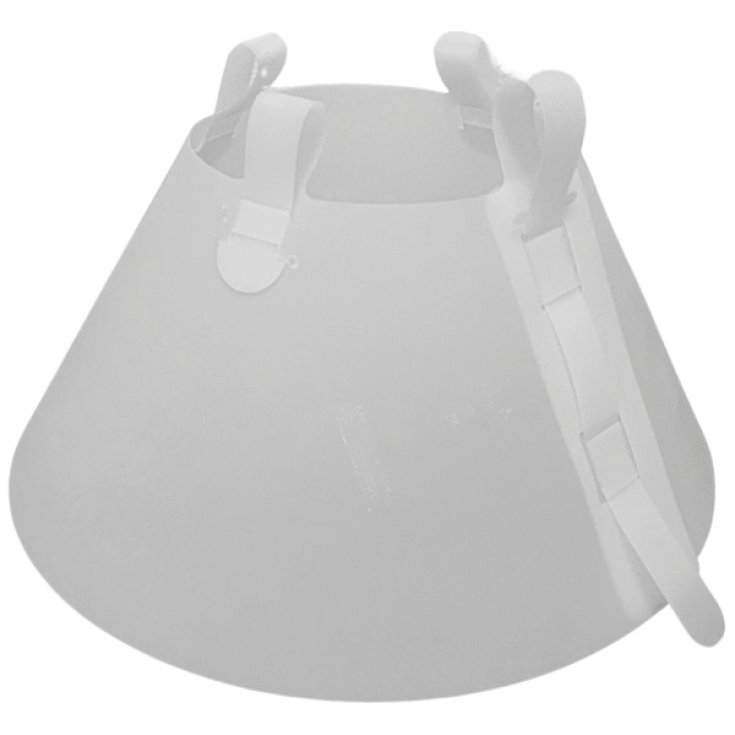 FOQUS CLASS COLLARE ELISAB40CM