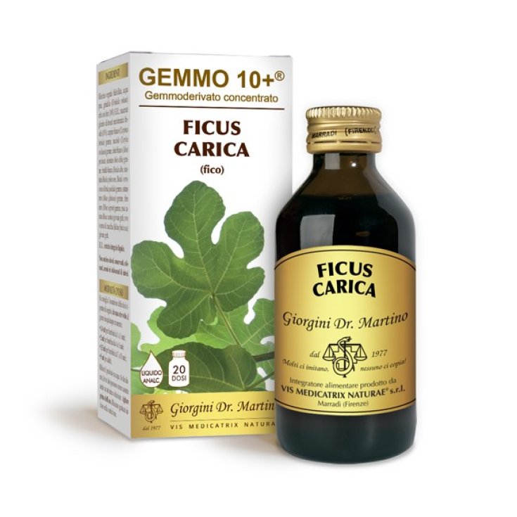 G10 + Non-alcoholic Liquid Fig Dr. Giorgini 100ml