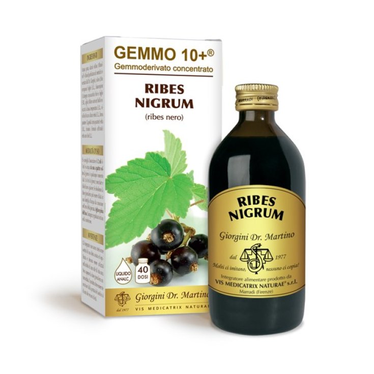 G10 + Non-alcoholic Liquid Black Currant Dr. Giorgini 200ml