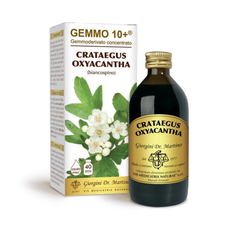 G10 + Hawthorn Dr. Giorgini 200ml