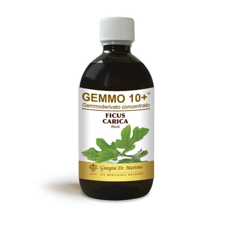 G10 + Non-alcoholic Liquid Fig Dr. Giorgini 500ml