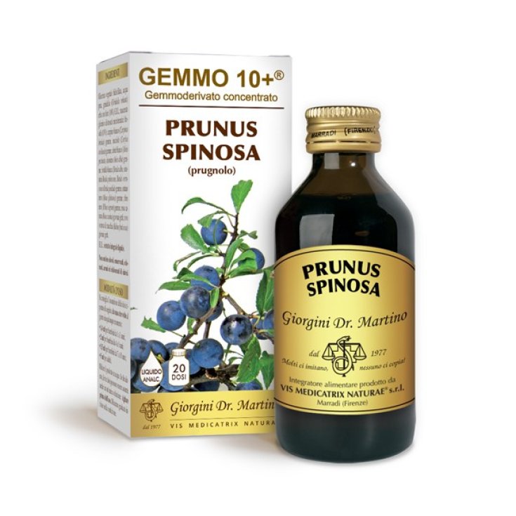 G10 + Prunus Spinosa Dr. Giorgini 100ml