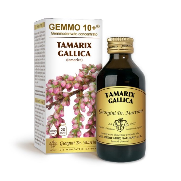 G10 + Non-alcoholic Liquid Tamerice Dr. Giorgini 100ml